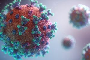 CORONOVIRUS – Spania închide frontierele terestre