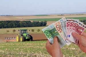 Important pentru fermieri: Măsuri APIA – activităţi suspendate, activităţi în desfăşurare