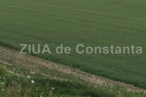 Lista completa a exproprierilor pentru largirea Centurii Bucuresti intre A2 si A1 (document)