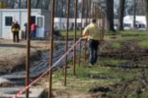 Containerele Primăriei Timişoara încă rămân goale! Decizia, explicată de Nicolae Robu