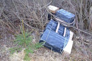 Un echipaj de la SPF Vicovu de Sus a reţinut un tânăr care „se rătăcise” cu peste 6. ...