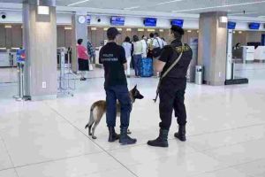 DSP a oprit mai multe colete cu MII de măşti şi costume de protecţie să ajungă în Italia