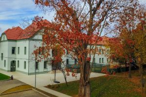 British International School of Timişoara dă startul înscrierilor pentru anul şcolar 2020-2021 pentru locurile rămase disponibile. Prima parte a procesului se desfăşoară exclusiv online