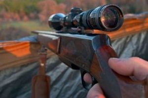 Maramures: Doi barbati sunt cercetati pentru braconaj cinegetic