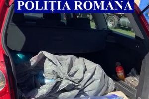 Ialomiţa: Zeci de plase monofilament ridicate de poliţişti