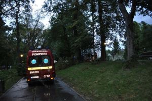 Creţu: Doborâturile de vânt, reduse foarte mult. Abordare mai dură faţă de cei care ameninţă