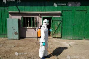 DSVSA Covasna: Coronavirusul poate fi depistat şi cu aparatele pentru diagnosticarea pestei porcine