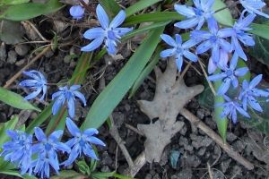 Cum va fi vremea în următoarele două săptămâni. Prognoza meteo