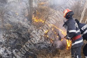 De 6 ore, pompierii se luptă cu un incendiu de lizieră pădure pe culmea Brata, din comuna Buciumeni (VIDEO)