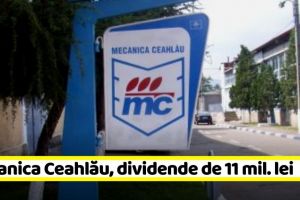 NEAMȚ: Mecanica Ceahlău îşi propune să remunereze investitorii cu dividende de 11 mil. lei