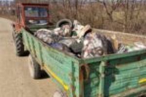 Și asistaţii sociali din Caransebeş au pus mâna la curăţenie