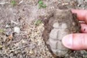 Grenadă descoperită în grădina unui locuitor din Oţelu Roşu