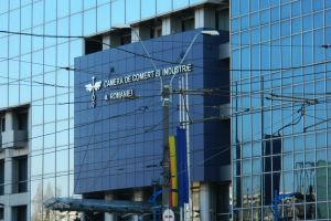 Apel la solidaritate: Către reprezentanţii mediului de afaceri din România