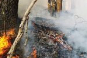 A început sezonul incendiilor de vegetaţie! În ce zone au acţionat pompierii cărăşeni?