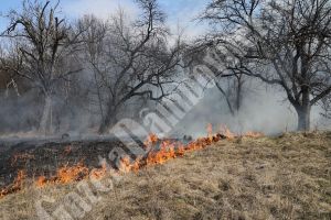 Livada arsă la Gorgota, din inconştienţa localnicilor