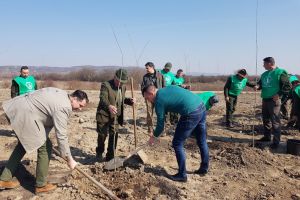Mini-pădure în Oradea: 3.500 de puieţi de diferite specii, plantaţi în Cartierul Tineretului (FOTO)