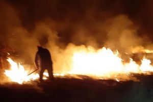 Incendii puternice de vegetaţie la Botoşani. Aproape 100 de hectare au ars necontrolat