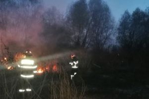 Judetul Tulcea. Alerta. Unde intervin, si pentru ce, pompierii (galerie foto)