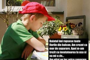 „Am crezut ca mor de suparare in dimineata aia. Baiatul imi rupsese toate florile din balcon. Doamne, si cat tineam la ele. Apoi m-am suparat si pe sot… Cand am vazut-o si pe invatatoare la usa, am zis ca fac infarct. Apoi mi-a explicat ce era cu florile.