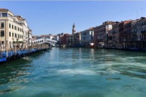 In Venetia nu mai e picior de turist, iar canalele au fost luate in stapanire de lebede si delfini