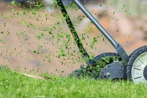 Firma SUBIN specializata in amenajarea spatiilor verzi cauta colegi