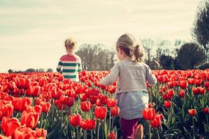 Azi e echinocţiul de primăvară: ziua e egală cu noaptea