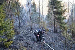 12 incendii de vegetaţie produse într-o zi de suceveni inconştienţi, în plină pandemie
