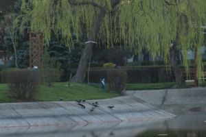 Parcurile din Ploieşti au fost închise de astăzi. Vedeţi anunţul oficial al Primăriei!