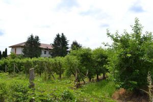 În judeţ avem încă un aparat care ar putea fi folosit la depistarea Covid-19. În ce instituţie se află
