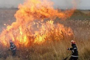 Zece incendii de vegetaţie în patru zile în Bihor