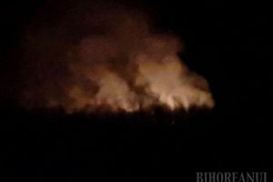 Foc în zona pădurii din Husasău de Criş. Au ars aproximativ 300 de metri pătraţi de vegetaţie uscată