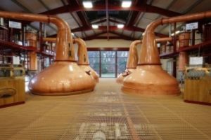 O distilerie belgiană INTERVINE - Trece de la producţia de gin la cea de dezinfectant