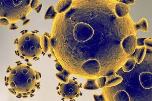 CORONAVIRUS. Atenţie! Tinerii, VULNERABILI în faţa bolii care a devastat lumea