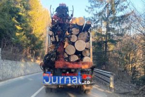Zeci de controale în domeniul silvic | Poliţiştii au dat amenzi şi au confiscat material lemnos