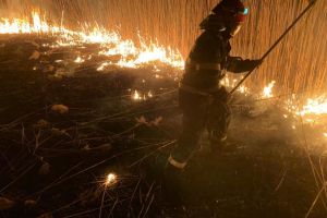 FOTO Incendiile de vegetaţie le dau bătăi de cap pompierilor – Au stins zece în ultimele 24 de ore