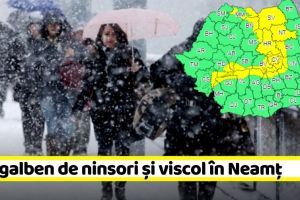 METEO: Cod galben de ninsori şi viscol în Neamţ