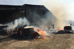 FOTO: Incendiu puternic la o fermă din Moşna – Animalele au fost salvate