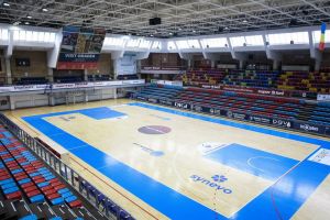 Federaţiile naţionale de handbal şi baschet prelungesc perioada de inactivitate