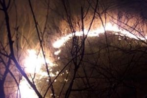 VIDEO-ACUM: Incendiu de amploare la Jorăşti | Flăcările au cuprins o suprafaţă de 10 hectare