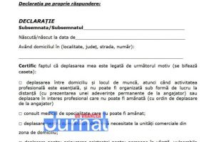 DOCUMENTE: Cum arată declaraţia pe proprie răspundere şi adeverinţa de la angajator (DOWNLOAD DISPONIBIL)