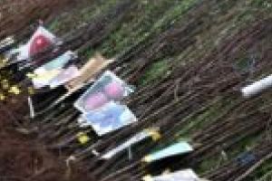 Vânzări bune! Producţia de puieţi de la Ferma Pomicola Pohalma, aproape epuizată