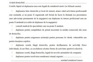 Persoanele care se deplasează pe timpul nopţii trebuie să completeze o declaraţie pe proprie răspundere; cei care merg la serviciu au nevoie de adeverinţă/ Cum arată formularele care trebuie completate