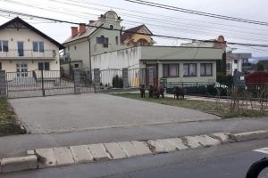 Șase porci aparent sălbatici  au ”evadat” din curtea unei familii din Bistriţa. Intervenţie a DSVSA (FOTO)