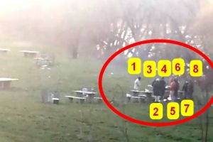 VIDEO. În plină pandemie, mai mulţi sătmăreni au ieşit la grătar!