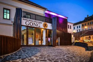 Actorii Teatrului „Gong” citesc poveşti prin telefon persoanelor singure şi în vârstă