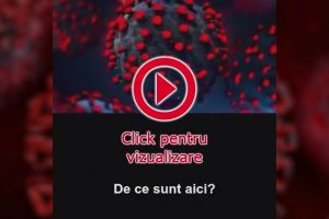 Video “Ce spune Coronavirus?”, tradus de suceveanca Laura Alina Pazari