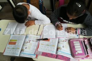 Scenarii fara precedent pentru invatamantul romanesc. Vom gasi orice alte variante, dar nu inghetarea anului scolar!