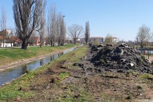 Ne enervează: Zeci de anvelope, aruncate de orădeni în pârâul Peţa (FOTO)