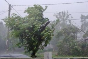 Cod ROŞU de viscol în România. Rafalele de vânt ajung la 130 de km la oră