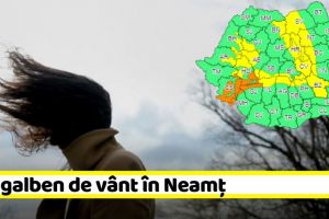 METEO: Cod galben de intensificări ale vântului în Neamţ